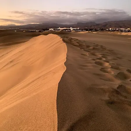 Complejo Las Olas 288 Maspalomas  Extérieur photo